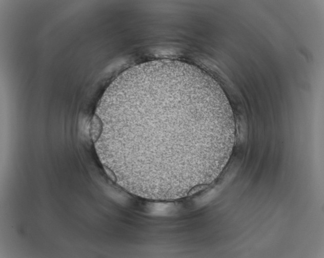 X0000112530575200909281041