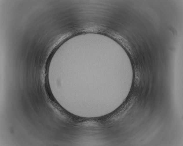 X0000112530578200909281040