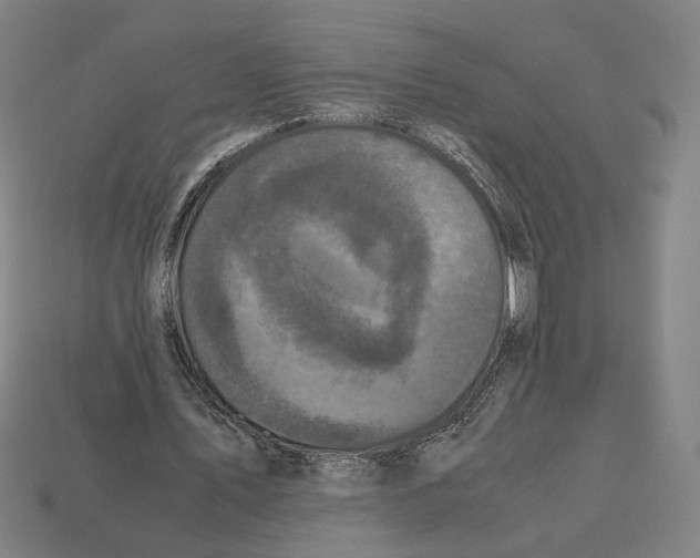 X0000112530579200909281040