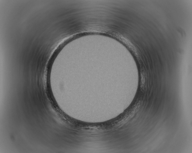 X0000112530580200909281040