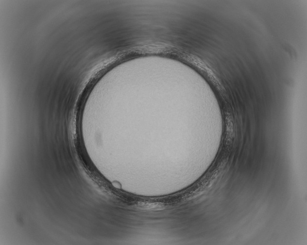 X0000112530582200909281040