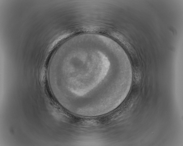 X0000112530583200909281040