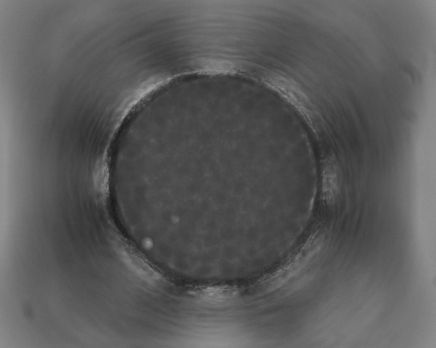 X0000112530584200909281040