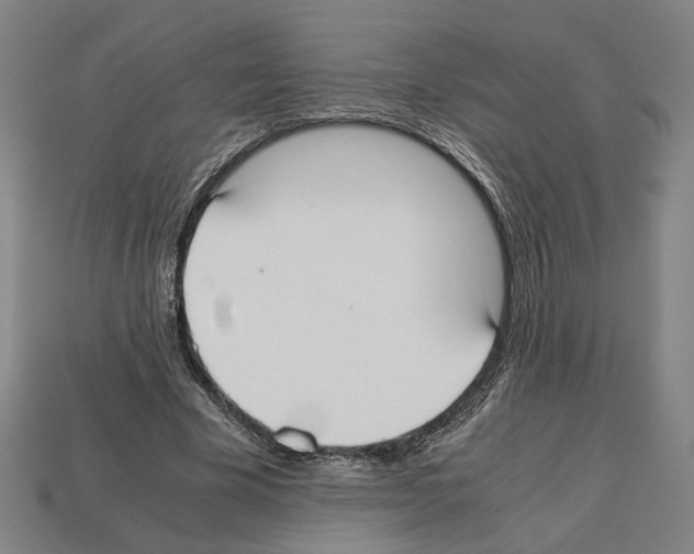 X0000112530585200909281040