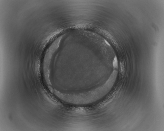 X0000112530588200909281040