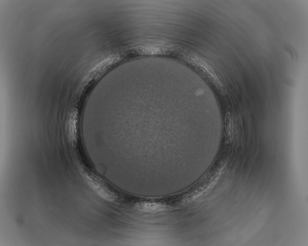 X0000112530590200909281040