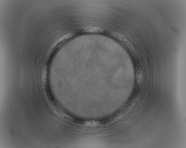 X0000112530591200909281040