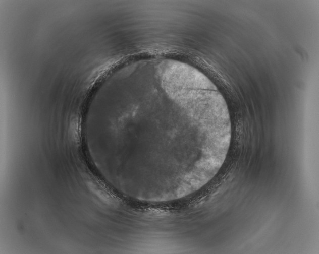 X0000112530592200909281040