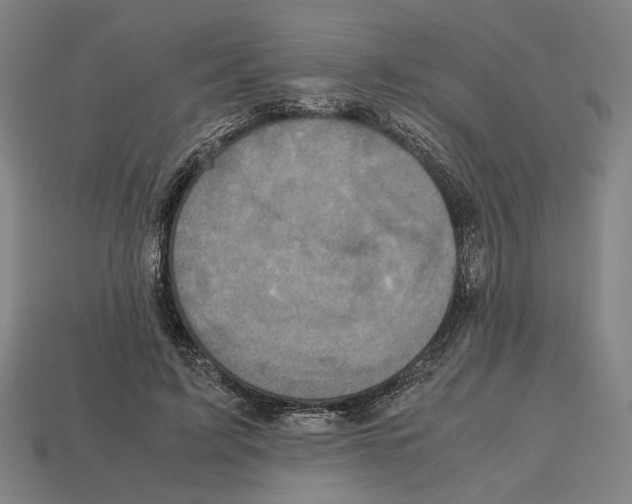 X0000112530595200909281040