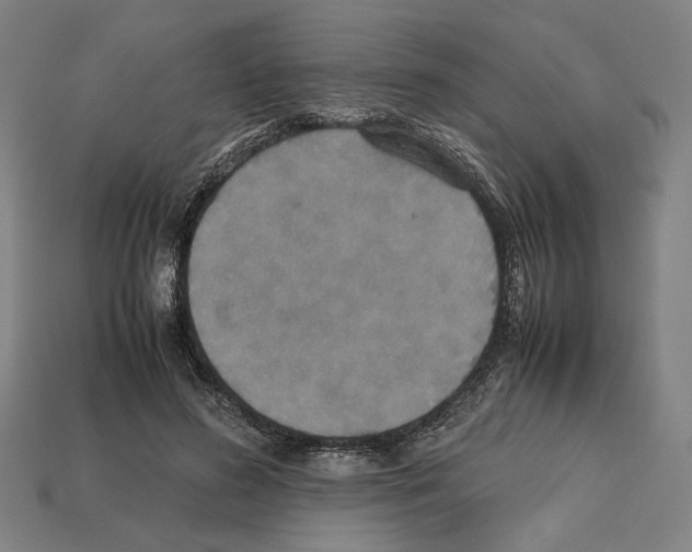 X0000112530596200909281040