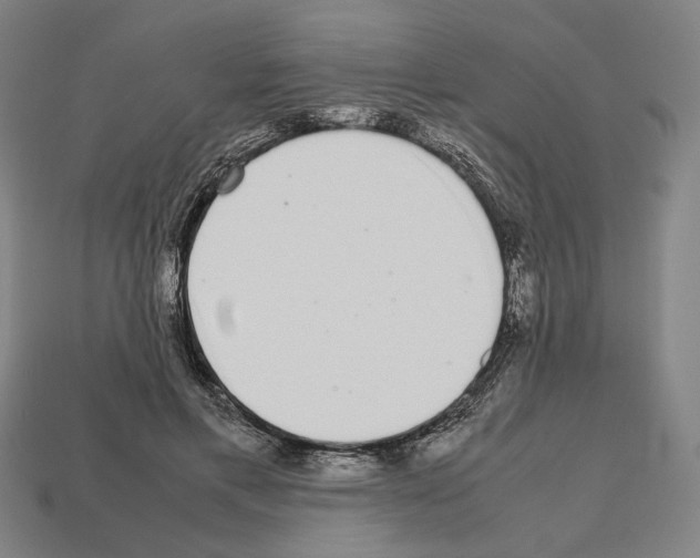 X0000112530597200909281040