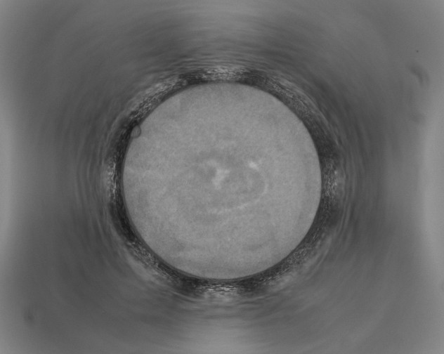 X0000112530599200909281040