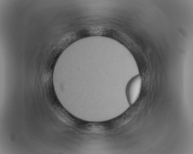 X0000112530601200909281040