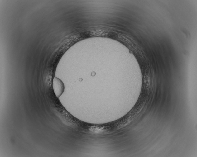 X0000112530602200909281040