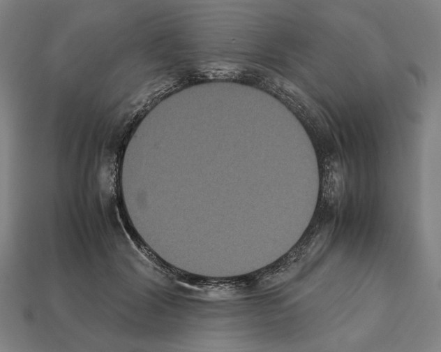 X0000112530604200909281040