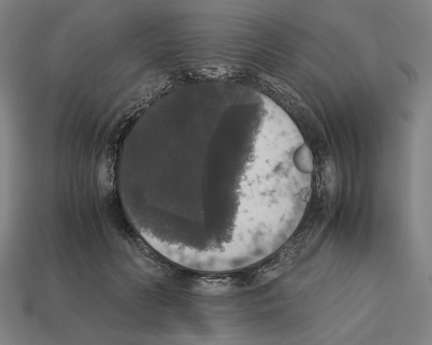 X0000112530606200909281040