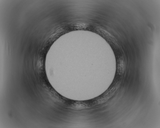 X0000112530608200909281040