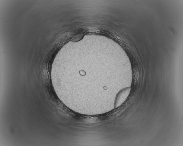 X0000112530609200909281040