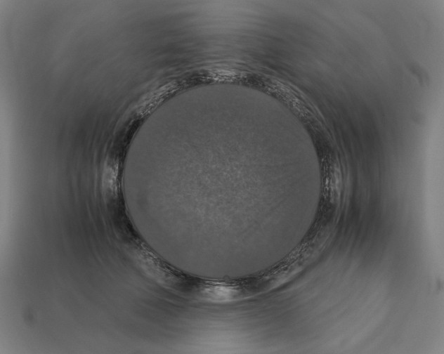 X0000112530610200909281040