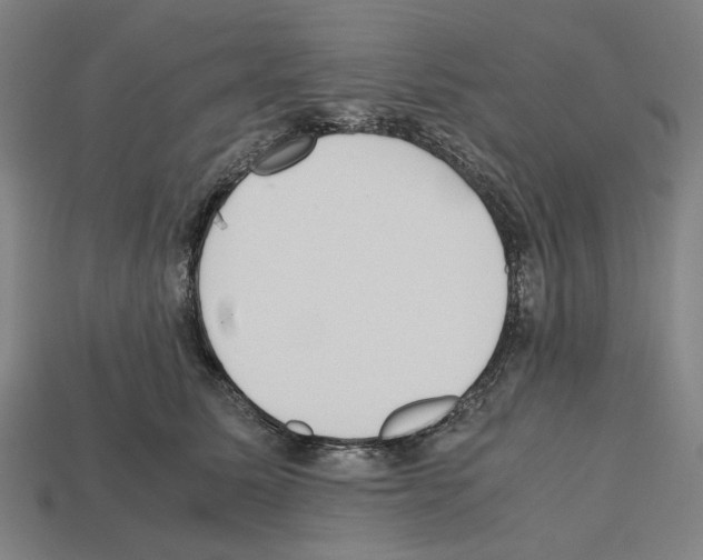 X0000112530611200909281040