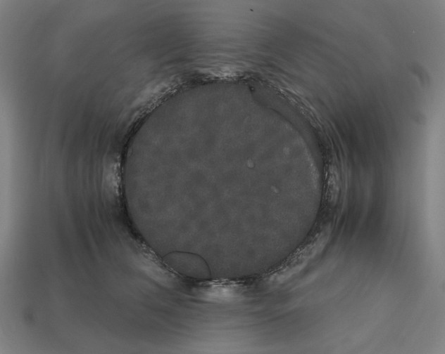 X0000112530612200909281040