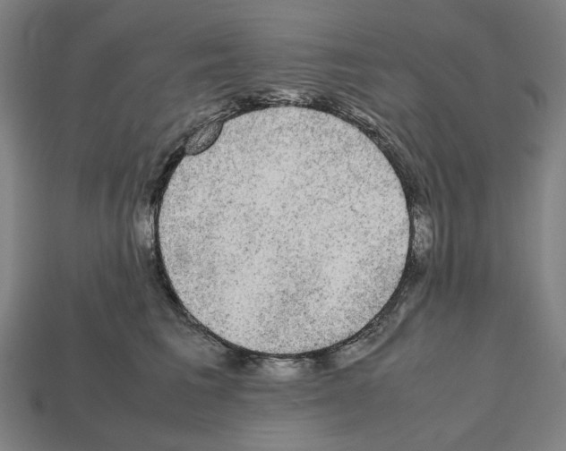 X0000112530613200909281040