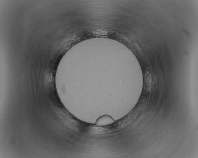 X0000112530614200909281040