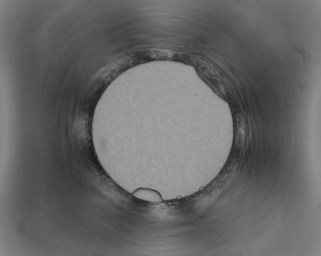 X0000112530616200909281040