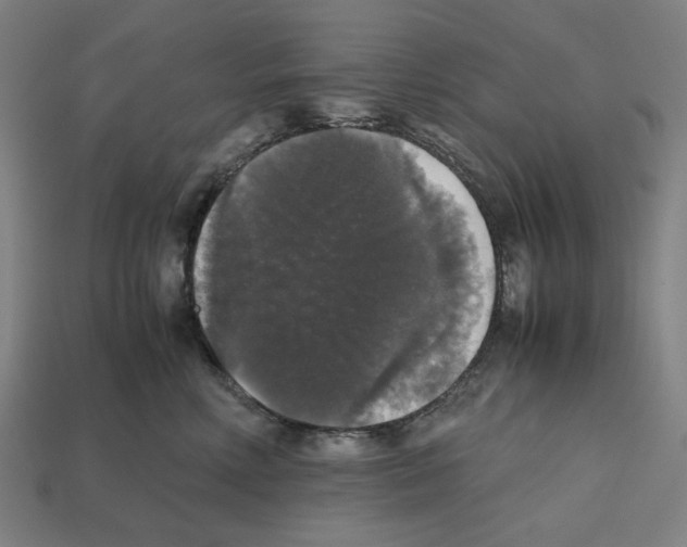 X0000112530618200909281040