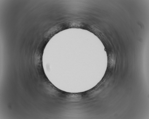 X0000112530619200909281040