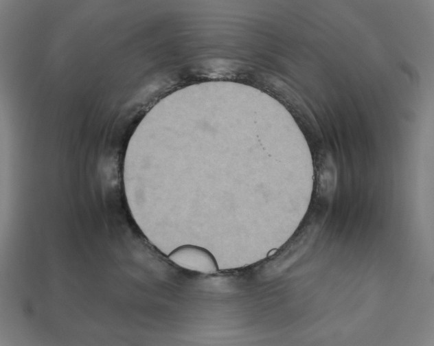 X0000112530620200909281040