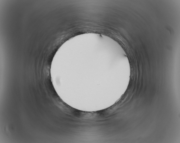 X0000112530621200909281040