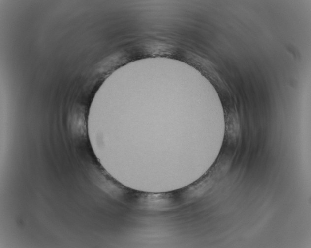 X0000112530622200909281040