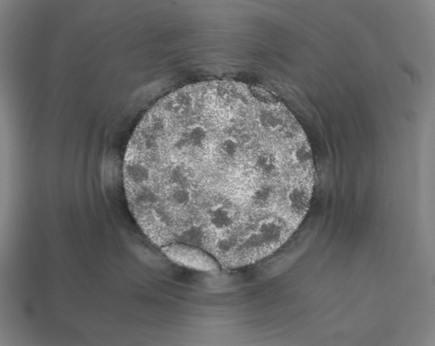 X0000112530623200909281040