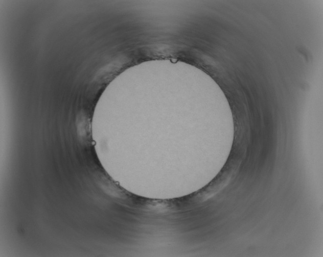 X0000112530624200909281040