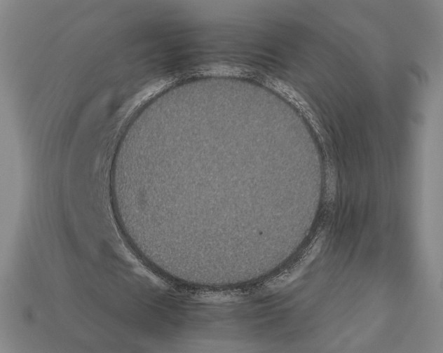 X0000112530625200909281039