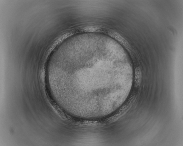 X0000112530626200909281039