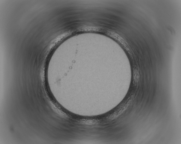 X0000112530629200909281039