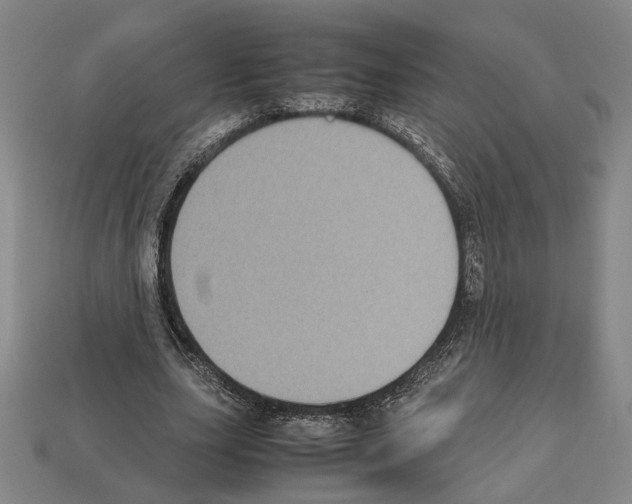 X0000112530631200909281039