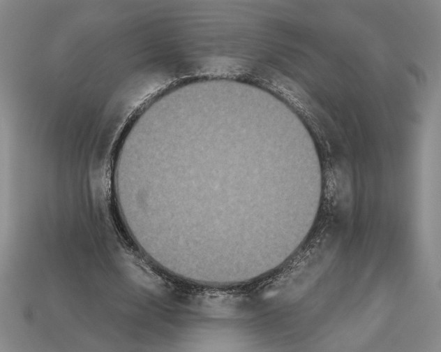 X0000112530632200909281039