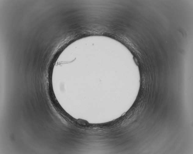 X0000112530634200909281039