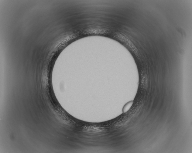 X0000112530635200909281039