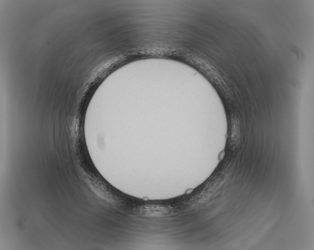 X0000112530636200909281039