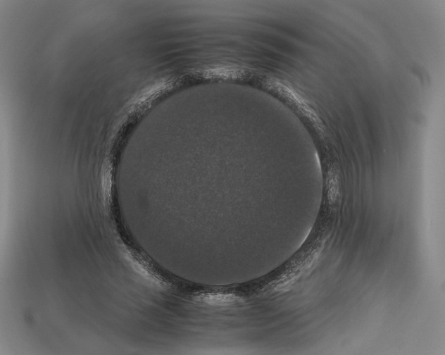 X0000112530637200909281039