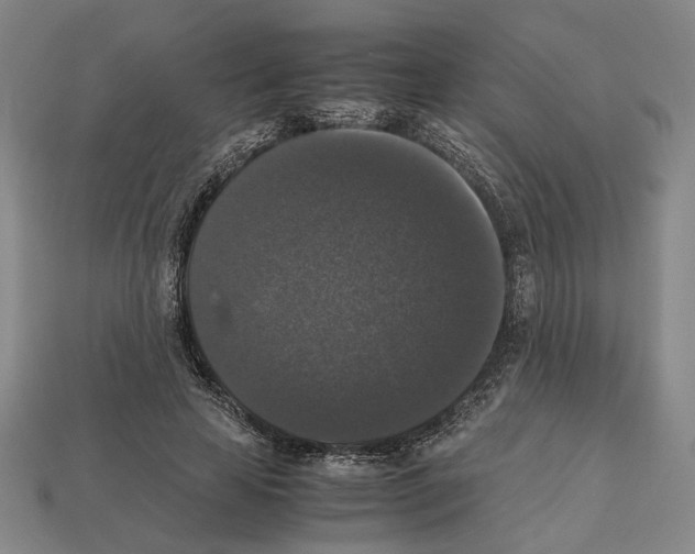 X0000112530641200909281039