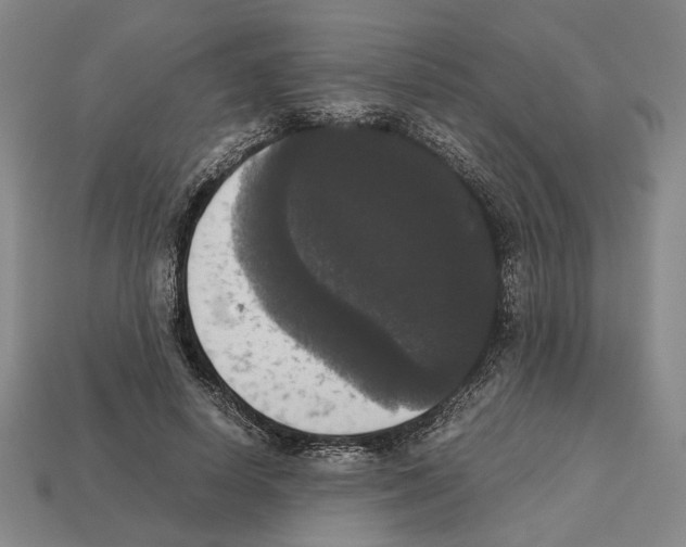 X0000112530642200909281039