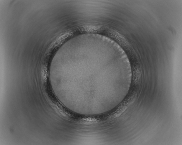 X0000112530644200909281039