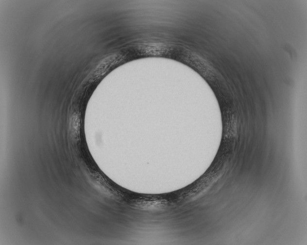 X0000112530646200909281039