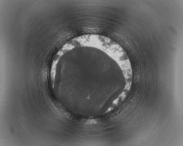 X0000112530647200909281039