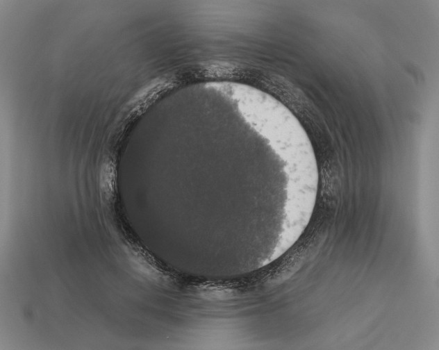 X0000112530648200909281039